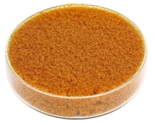 Extrepure Ion Exchange Resin Price in Bangladesh