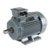 Hyden Electric Motor